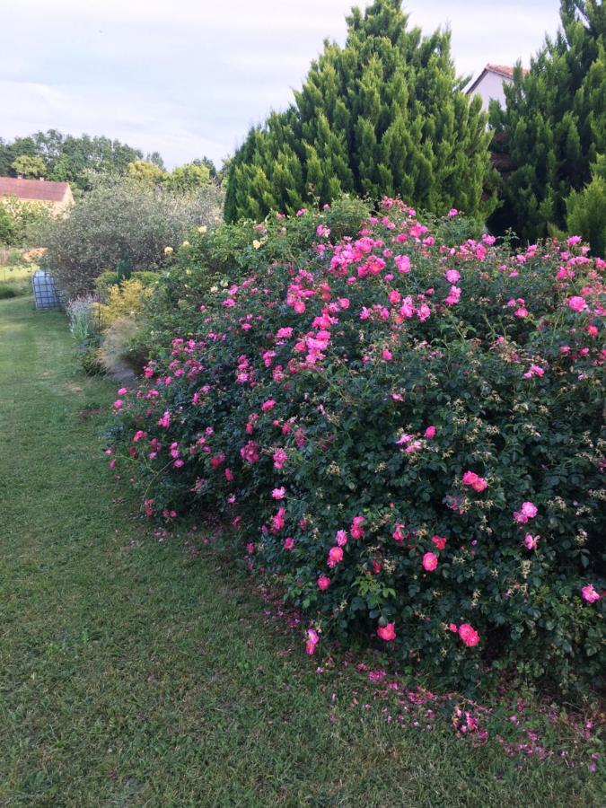 Chambre D'Hotes Le Clos De Rapevache エクステリア 写真